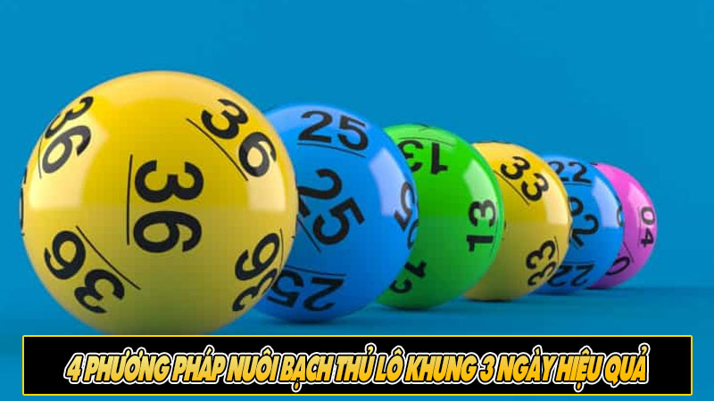 4 Phương pháp nuôi bạch thủ lô khung 3 ngày hiệu quả